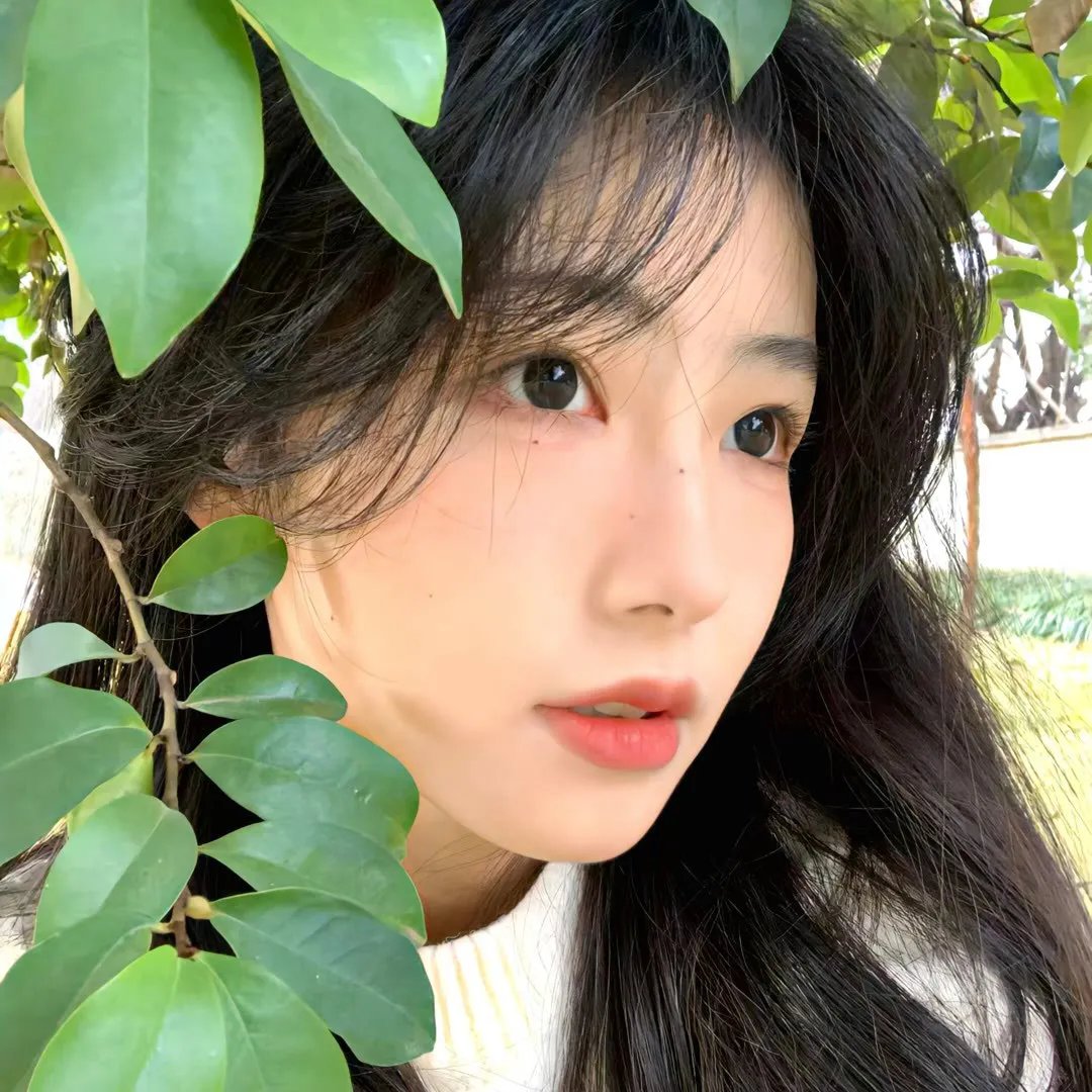 求生旅程